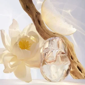 بهترین عطرهای مردانه و زنانه برای تابستان